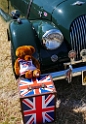 024-British-Car-Show